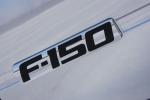 Ford F-150 Platinum 4x4 2009 года